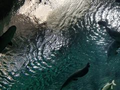 -波塞冬旅游度假区