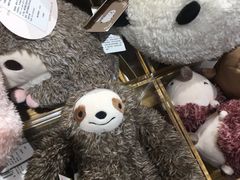 -纯K(西湖店)