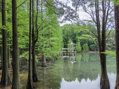 -四明山国家森林公园