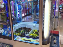 -汤姆熊欢乐世界(罗斯福店)