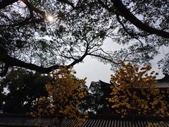 -光孝寺