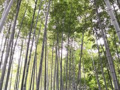 -杭州黄龙洞