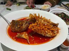 -眉州东坡·熊猫主题餐厅(枫蓝店)
