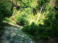 -仙霞关景区