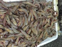 龙宫海鲜楼-龙宫海鲜楼(长乐漳港店)