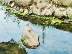 -苏州河梦清园环保主题公园