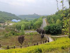 -白鹿原影视城