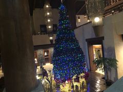-无锡太悦度假酒店·悦餐厅