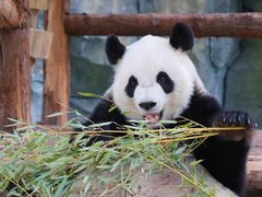 -泉州海丝野生动物世界