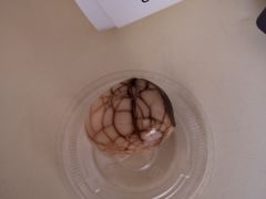 茶叶蛋-虎伢Fuuya!咖啡煎饼(陆家嘴波特营店)