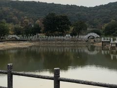 -龙寺生态园