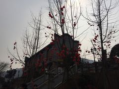 -楠柏弯休闲山庄(梨花溪店)