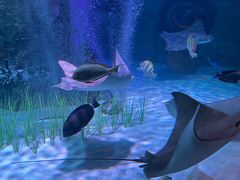 -沈阳海洋探索中心