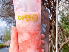 -CoCo都可(北新桥店)