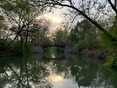 -西溪国家湿地公园