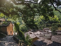 -杨家堂村