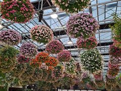 -常州花鸟园酒店(西太湖品牌优选店)