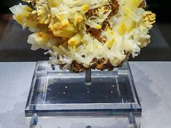 -湖南省地质博物馆