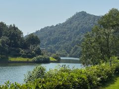 -桃花岭景区
