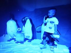 -成都浩海立方海洋公园