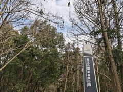 -青龙山国家森林公园