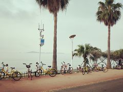 -黄金海岸环岛路