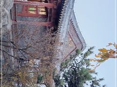 -香山公园