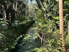 -中国科学院西双版纳热带植物园