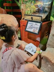 点击看大图 -酷嗒动物文化乐园(cutezoo西溪乐天城店)