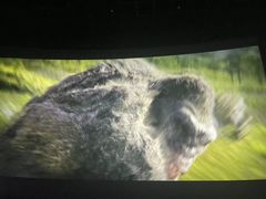 -幸福蓝海国际影城(崇安寺T12店)