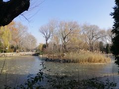 -北京动物园-畅观楼