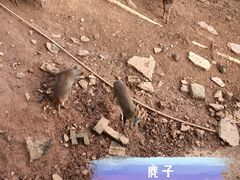 -昆明动物园