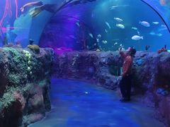 -沈阳海洋探索中心