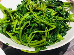 -壹盏灯(惠农店)