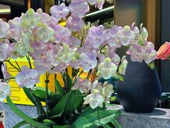 -忆家名门·上海菜(徐家汇店)