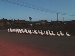 -北极村旅游风景区