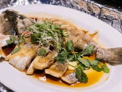 -碧中海汤泉汗蒸酒店