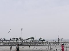 -东港音乐喷泉广场