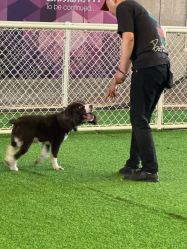 -酷嗒动物文化乐园(cutezoo西溪乐天城店)