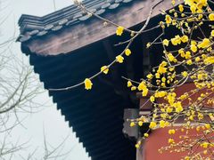 -钱王祠