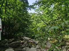 -龙峪湾国家森林公园