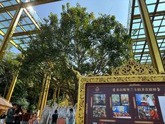 -西双版纳勐泐文化旅游区