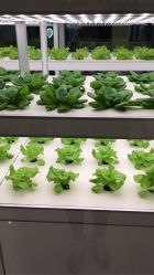 -安利上海体验馆