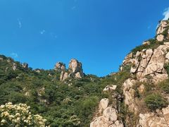 -大岭沟猕猴桃谷风景区