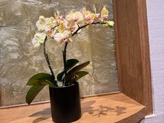 -金河半岛园林酒家(金融城店)