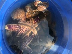 -东戴河风景区-止锚湾