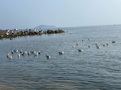 -银沙滩浴场