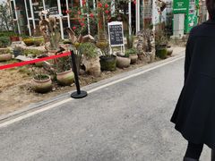 -三圣花乡旅游区