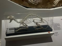 -国家自然博物馆