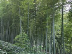 -上海市保健医疗中心